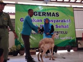 GERMAS DORPRIZE UTAMA KAMBING